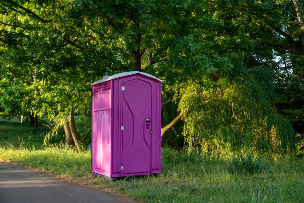Best Porta potty delivery and setup  in Sheridan, IL